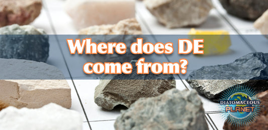 Get the Facts about Food Grade Diatomaceous Earth!